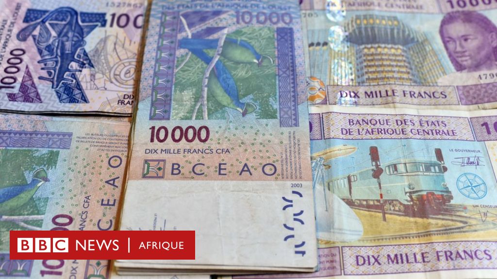 Une Monnaie De L Ere Coloniale Est Elle Le Moteur De La Migration Vers L Europe c News Afrique