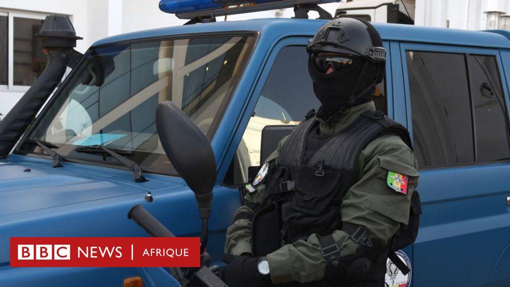 La gendarmerie sénégalaise démantèle un vaste réseau de ...