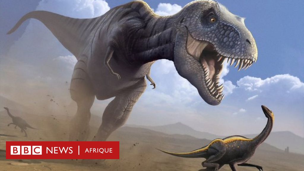 Dinosaures : six mythes sur ces animaux qui déroutent encore beaucoup de  gens - BBC News Afrique