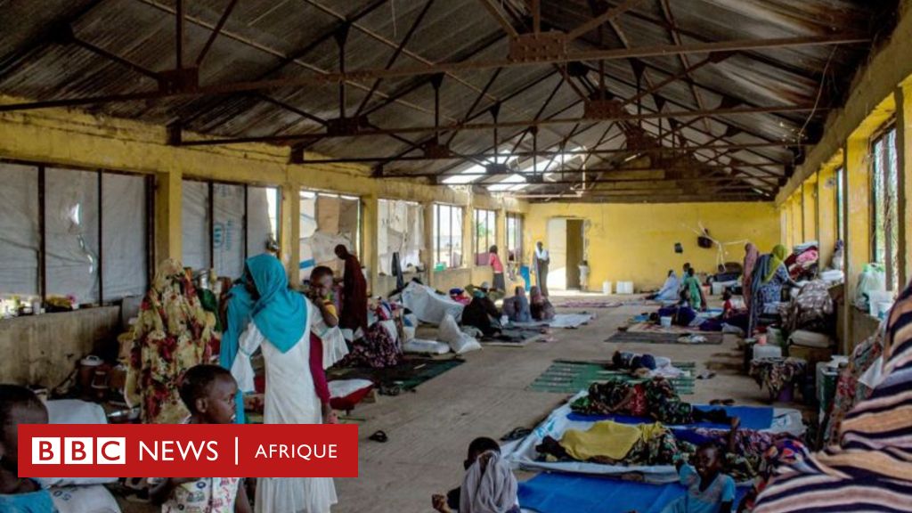 Soudan : près de 500 enfants « meurent de faim » alors que le conflit  entraîne la fermeture des centres humanitaires