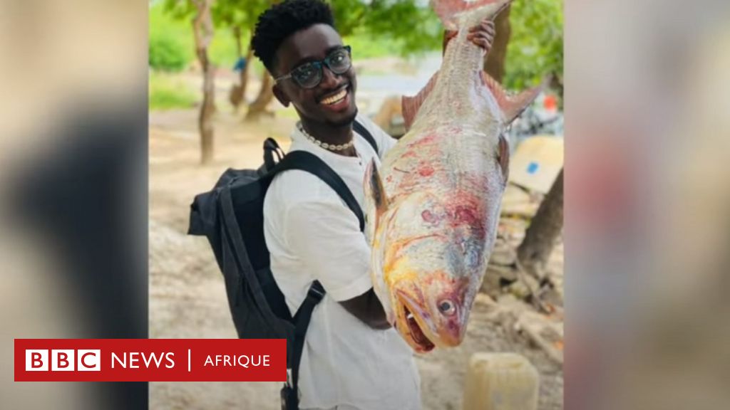 Tourisme : "J'ai quitté mon emploi pour faire découvrir mon pays, le Sénégal"   - BBC News Afrique