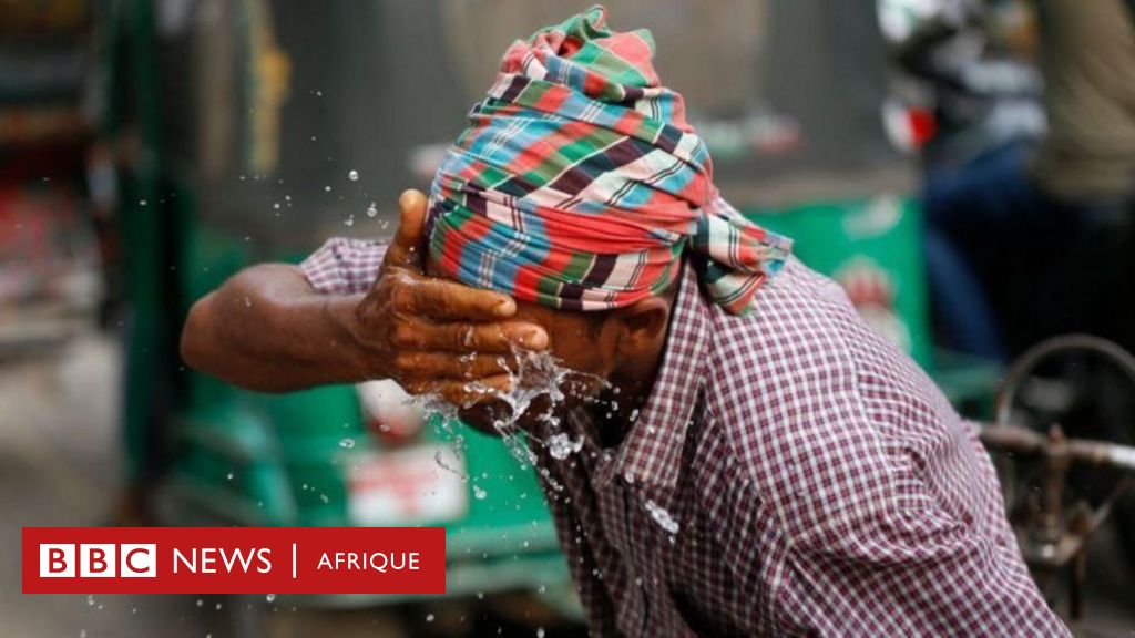 Environnement - Kenya : un jour férié pour planter 100 millions d'arbres  contre le changement climatique - BBC News Afrique