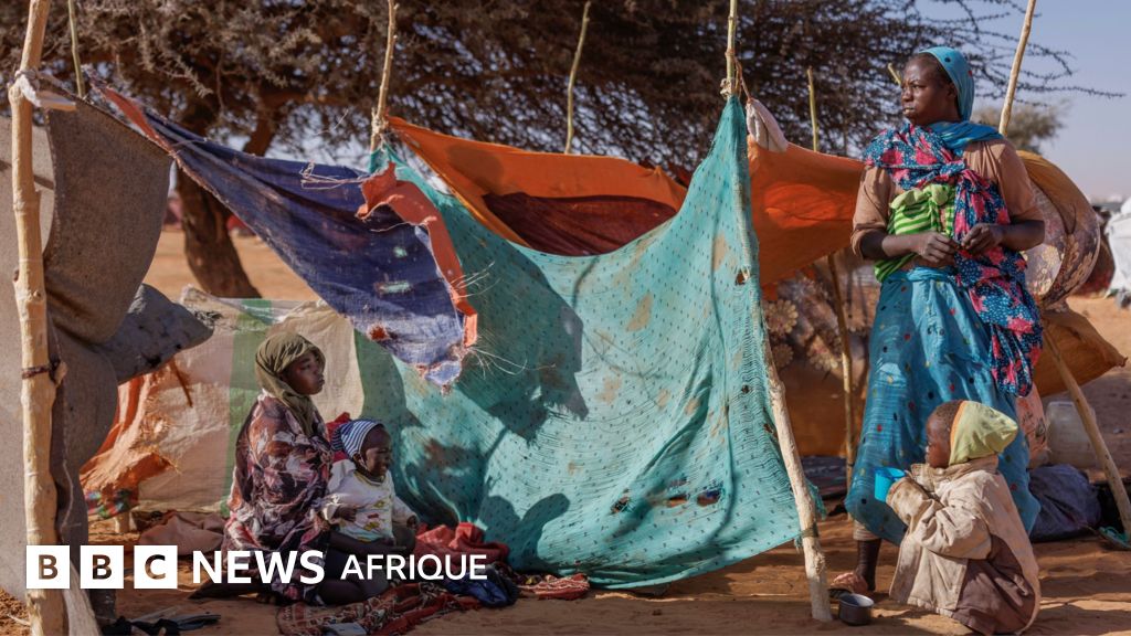 Comment des mercenaires colombiens ont aidé les FSR au Soudan