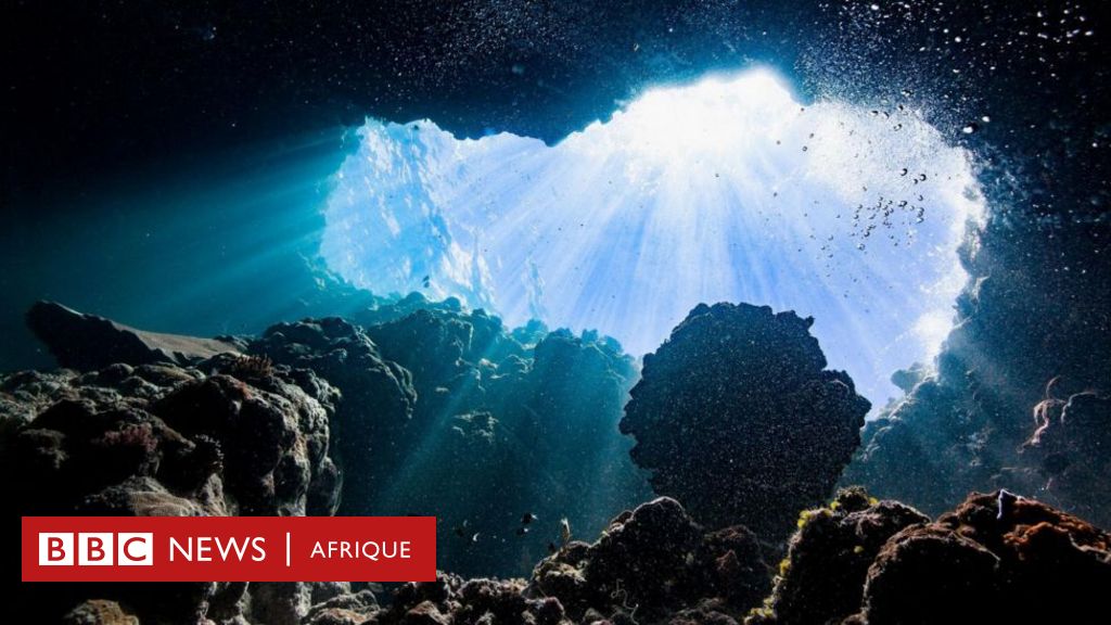 Black Oxygen: What Is It and Why Is It Surprising to Discover It at the Bottom of the Ocean?