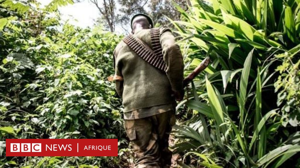 Plus De 900 Victimes De Violences Sexuelles En Rdc En Un An Bbc News Afrique 