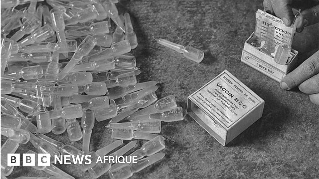 BCG Un vaccin de 1921 peutil sauver des vies du Covid19 ? BBC