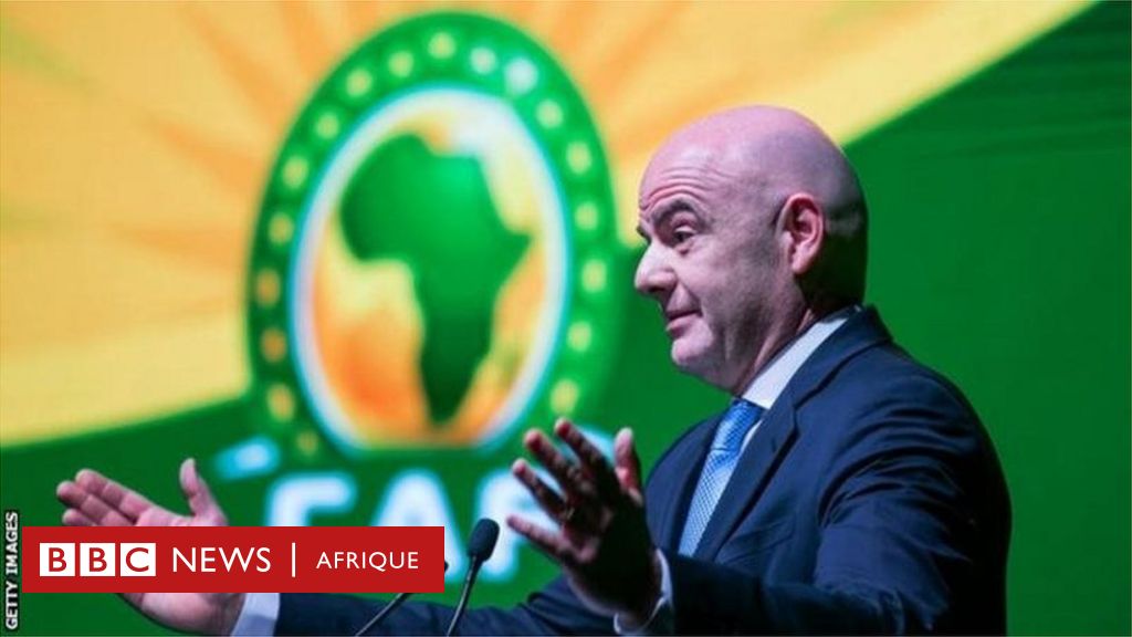 FIFA Ranking 2019 : Top African Teams – L'actualité économique sur le  continent Africain