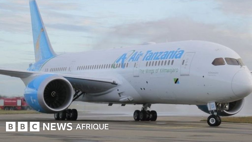L'Afrique du Sud saisit un avion d'Air Tanzania BBC News Afrique