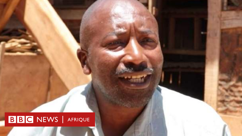 Tanzanie : les cafards, c'est bon pour la santé ! - BBC News Afrique