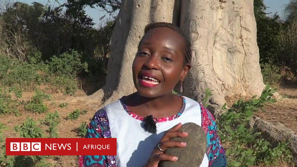 Nutrition : les 5 principaux avantages du fruit de baobab pour la santé -  BBC News Afrique