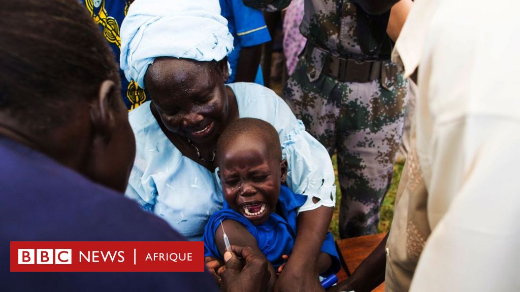 Une Campagne Massive De Vaccination Contre La Polio En Afrique - BBC ...