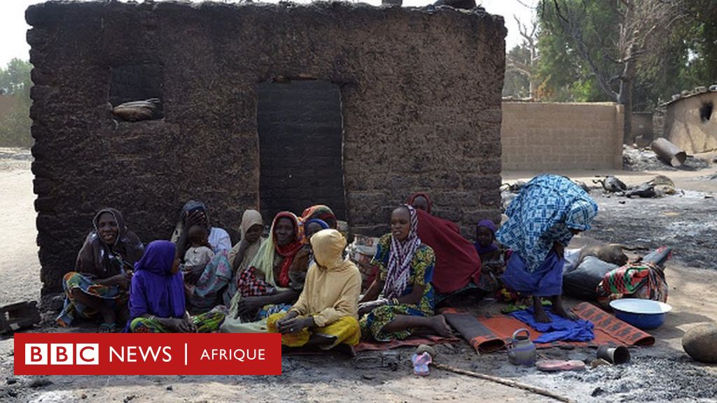 Nigeria : 672 Millions De Dollars D'aides Aux Victimes De Boko Haram ...