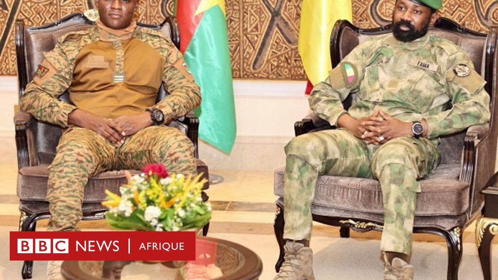 Fédéralisme En Afrique : Une Fédération Est-elle Possible Entre Le ...