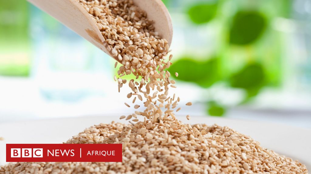 Les graines de sésame à risque pour la santé