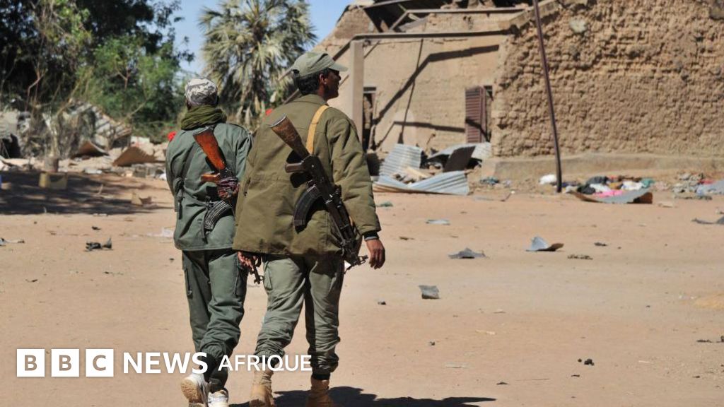 Attaques au Mali : des dizaines de morts lors d'attaques menées par des djihadistes contre des villages de Mopti