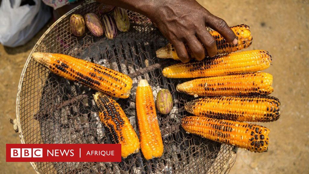 Farine de manioc : quels sont ses bienfaits santé ?