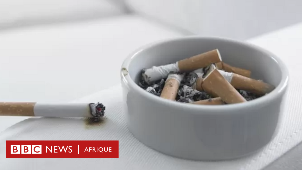 Industrie du tabac : des investissements toujours florissants malgré les  conséquences délétères sur la santé