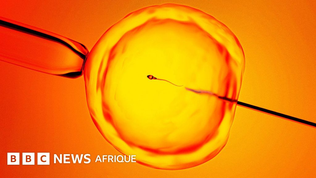 Découverte de « spermatozoïdes cachés » : une technique d'IA offre un espoir aux hommes déclarés infertiles