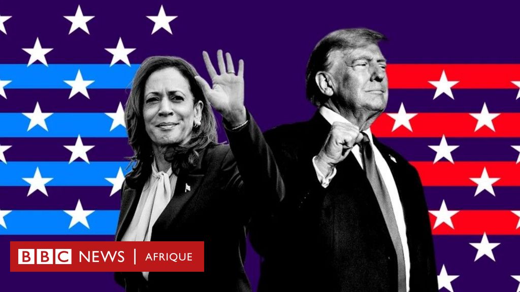 Opiniepeilingen voor de Amerikaanse verkiezingen: wie ligt voorop: Harris of Trump?