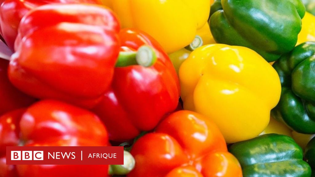 Nutrition : les bienfaits du piment sur la santé - BBC News Afrique