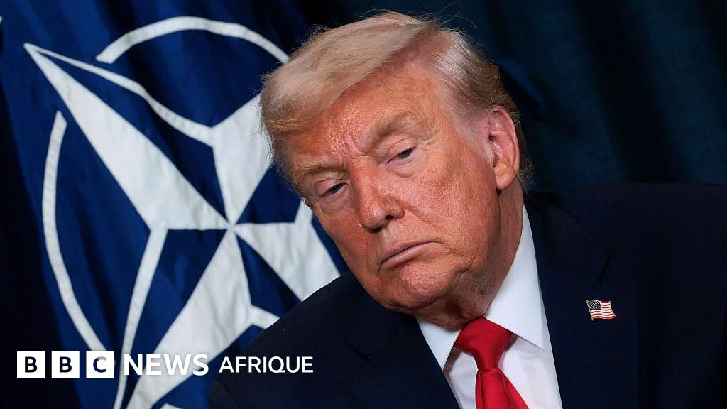 L'OTAN pourrait-elle être une force crédible sans les États-Unis ?