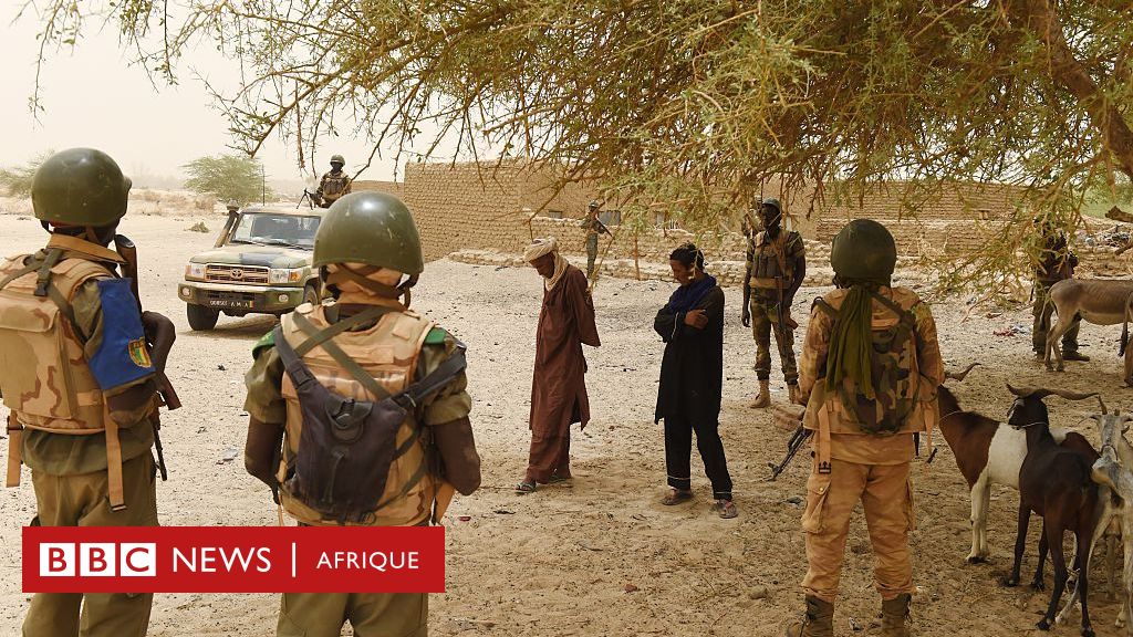 Alliance des Etats du Sahel : Quels sont les défis de l'AES ? - BBC News  Afrique