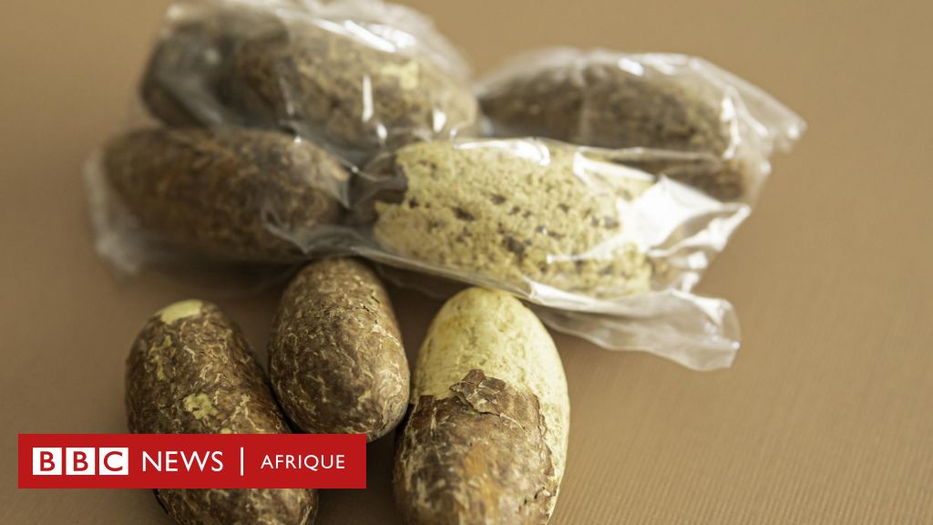 Nutrition : Les bienfaits du petit cola pour la santé - BBC News Afrique