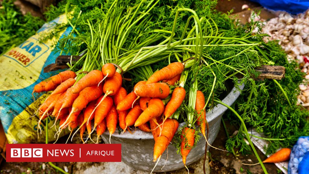 Nutrition. Pourquoi la carotte est très bonne pour votre santé
