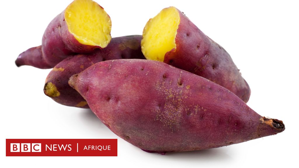 Nutrition : les 5 principaux bienfaits de la patate douce pour la santé -  BBC News Afrique