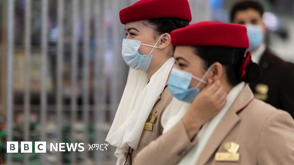 ከኮቪድ ምርመራ ውጤት ውዝግብ ጋር በተያያዘ ኬንያ ከአረብ ኤምሬትስ የሚደረጉ በረራዎችን አገደች BBC News