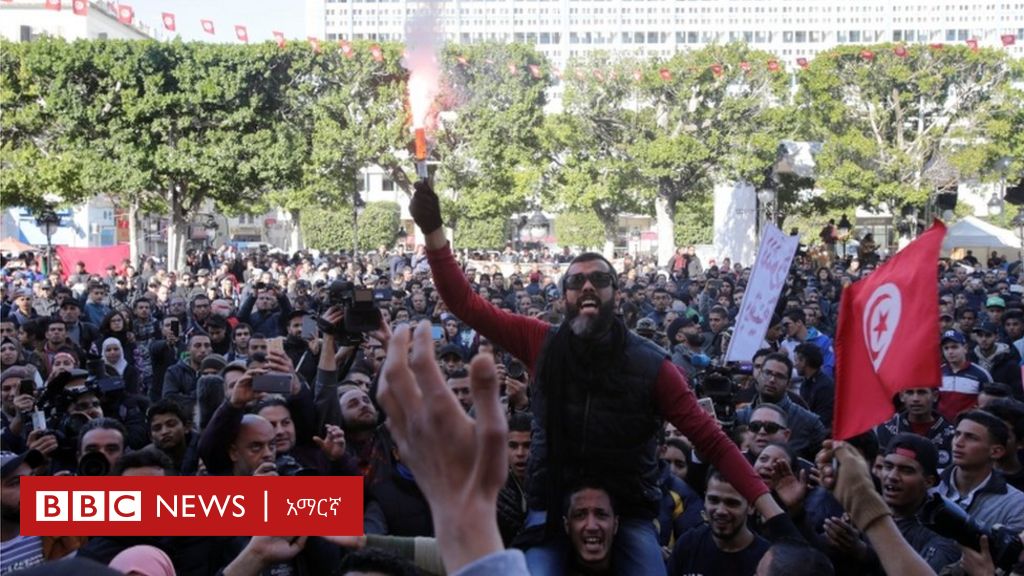 በቱኒዚያ የተቃውሞ ሰልፍ ቀጥሏል - BBC News አማርኛ