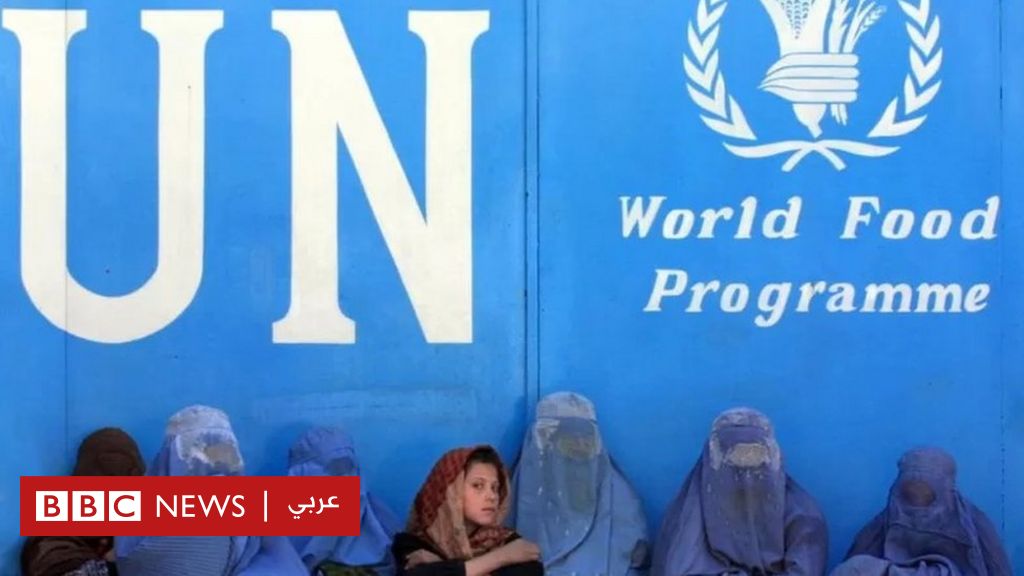 Afghanistan under the Taliban: Security Council unanimously condemns decision to ban women from working at United Nations