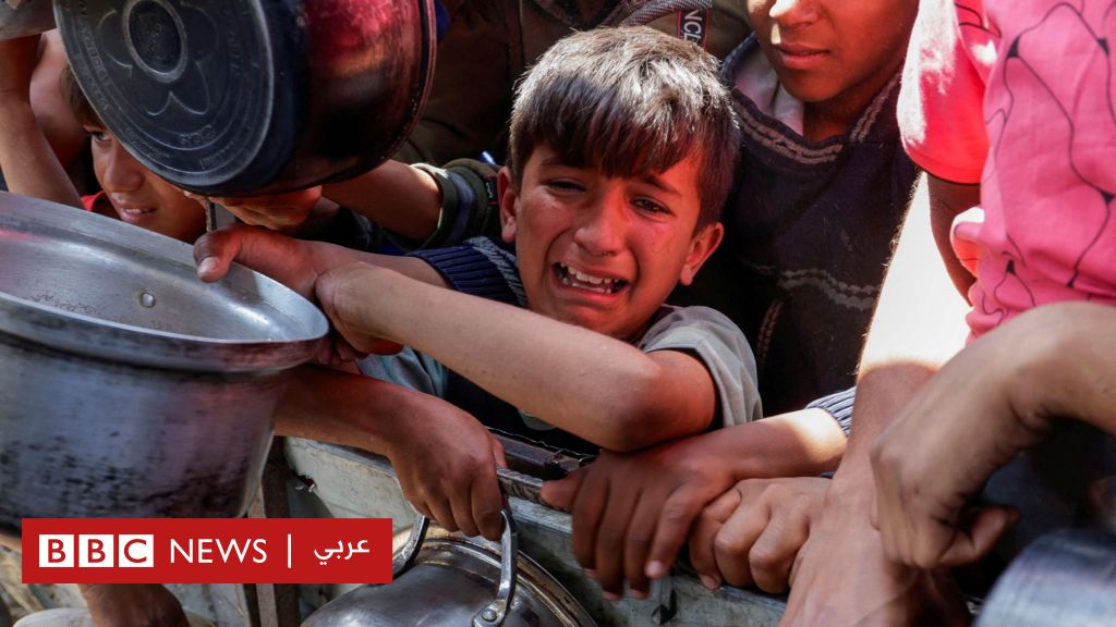 حرب غزة: الأونروا تصف حصار القطاع بـ”الفضيحة الحقيقية”، ومحكمة العدل الدولية تواصل جلساتها العلنية بشأن التزامات إسرائيل الإنسانية - BBC News عربي