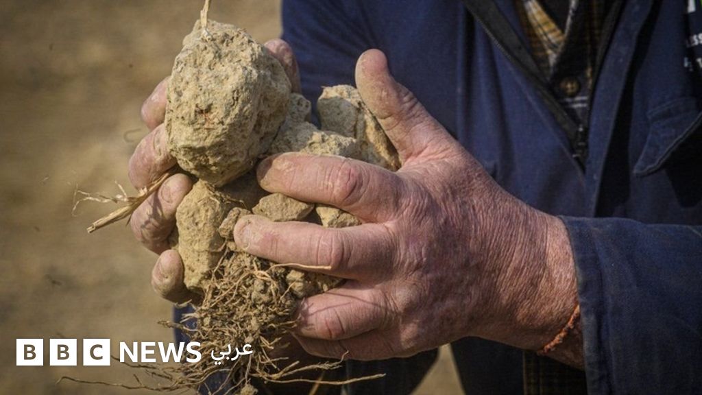 كيف تواجه إيطاليا أسوأ موجة جفاف تضرب البلاد منذ 70 عاما؟ – BBC News عربي كيف تواجه إيطاليا أسوأ موجة جفاف تضرب البلاد منذ 70 عاما؟ – BBC News عربي