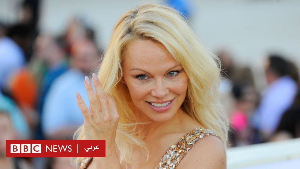 The Pamela Anderson Diary: A Taste of Fame and Pain