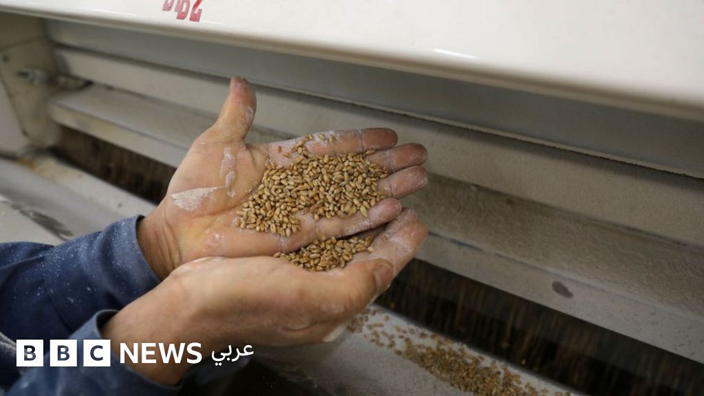 الحرب في أوكرانيا تضرب واردات القمح في الشرق الأوسط وشمال أفريقيا – في الغارديان – BBC News عربي الحرب في أوكرانيا تضرب واردات القمح في الشرق الأوسط وشمال أفريقيا – في الغارديان – BBC News عربي
