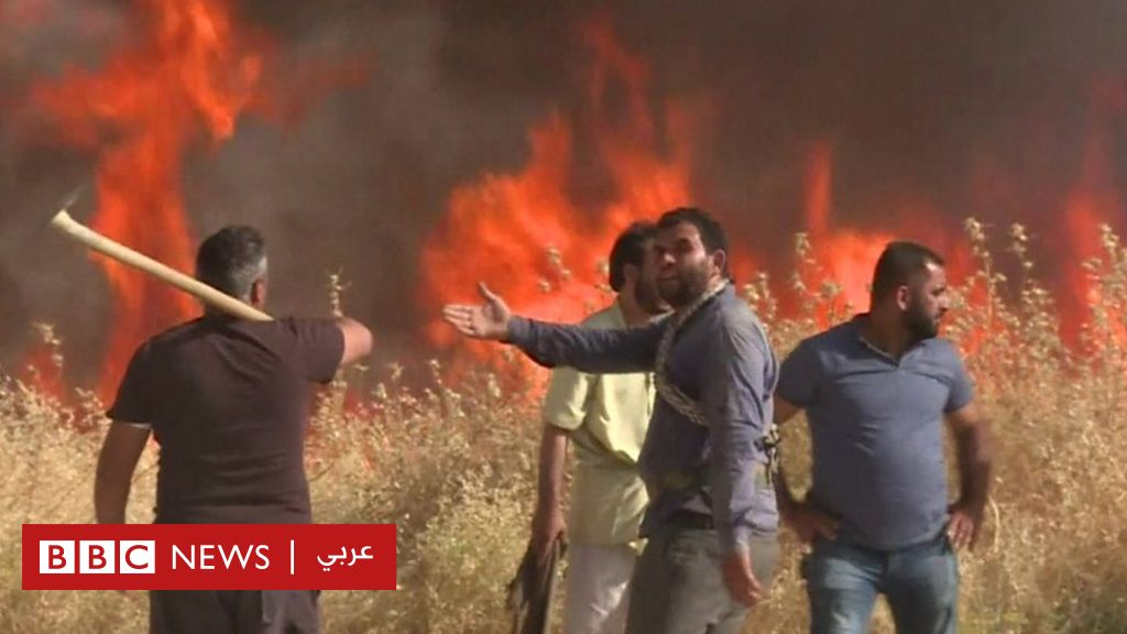 ما سر ظاهرة الحرائق التي تلتهم محاصيل القمح في سوريا؟ - BBC News Arabic