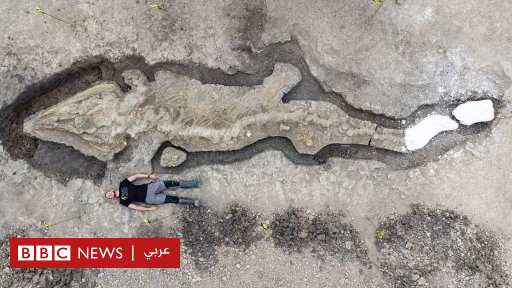 الكشف عن حفرية "تنّين بحري" عملاق كان يعيش قبل ملايين السنين في بريطانيا
