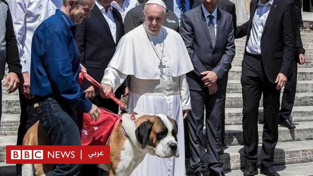 البابا فرانسيس: اختيار الحيوانات بدلا من الأطفال أنانية