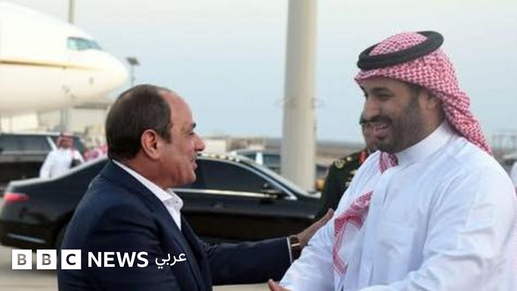 حرب غزة: اللقاءات المصرية–الخليجية مؤخرا....غزة في الواجهة وتقاطع السياسة والاقتصاد - BBC News عربي