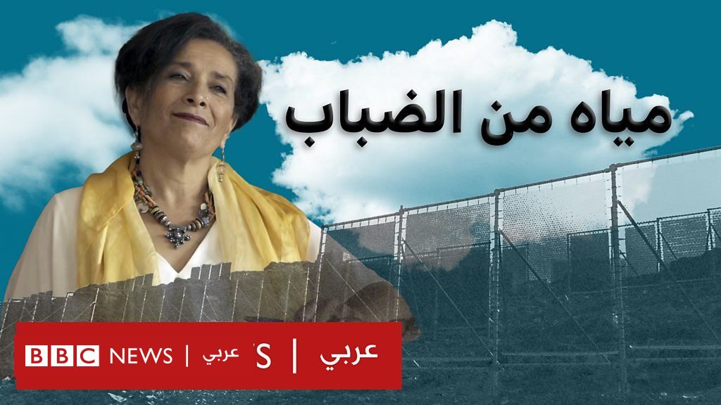 كيف يمكن لمنطقة الشرق الأوسط وشمال أفريقيا التكيف مع التغير المناخي؟ Bbc News عربي 