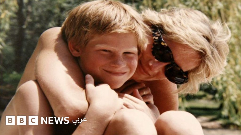 وليام وهاري يشعران بالندم بسبب آخر مكالمة مع أمهما ديانا Bbc News عربي