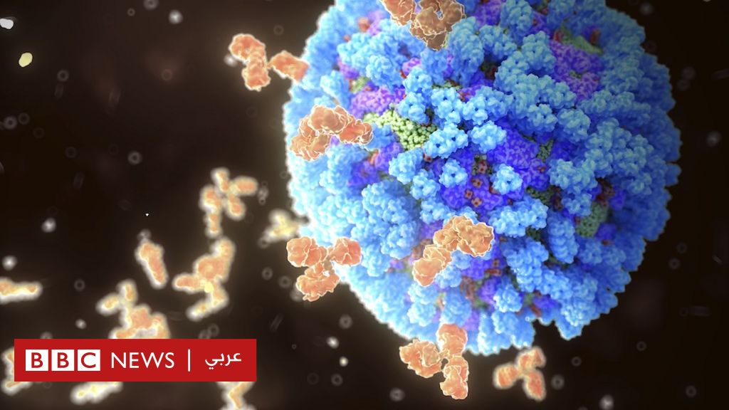 المناعة: لماذا لا يجب أن نشغل بالنا بتقوية جهازنا المناعي؟