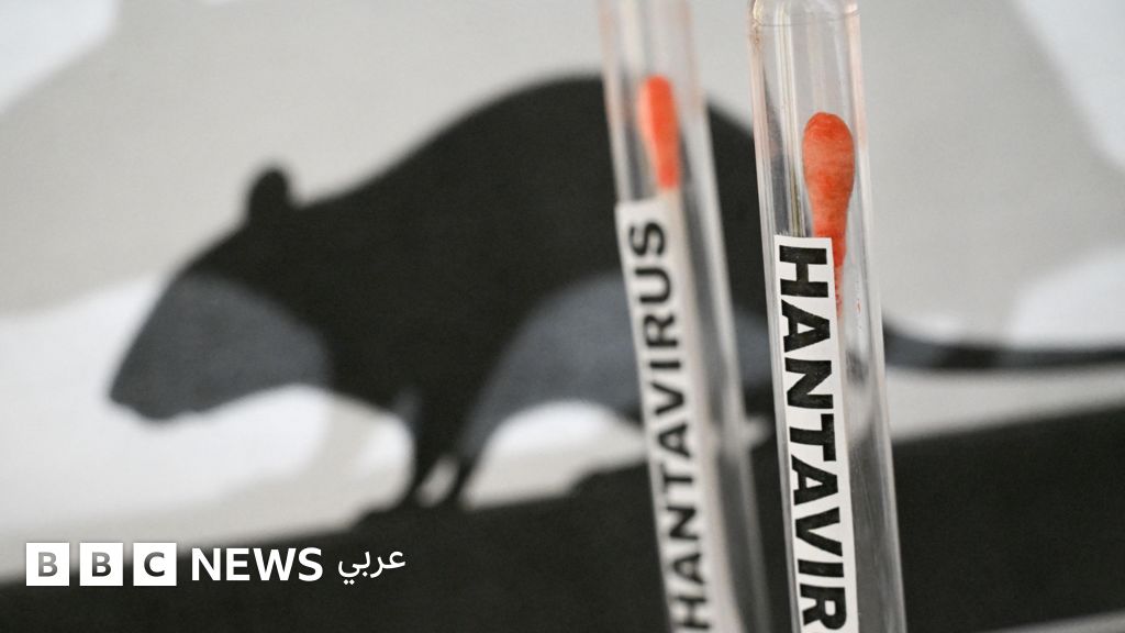 وفاة ثلاثة ركاب وإصابة العشرات بفيروس هانتا على متن سفينة سياحية في المحيط الأطلسي