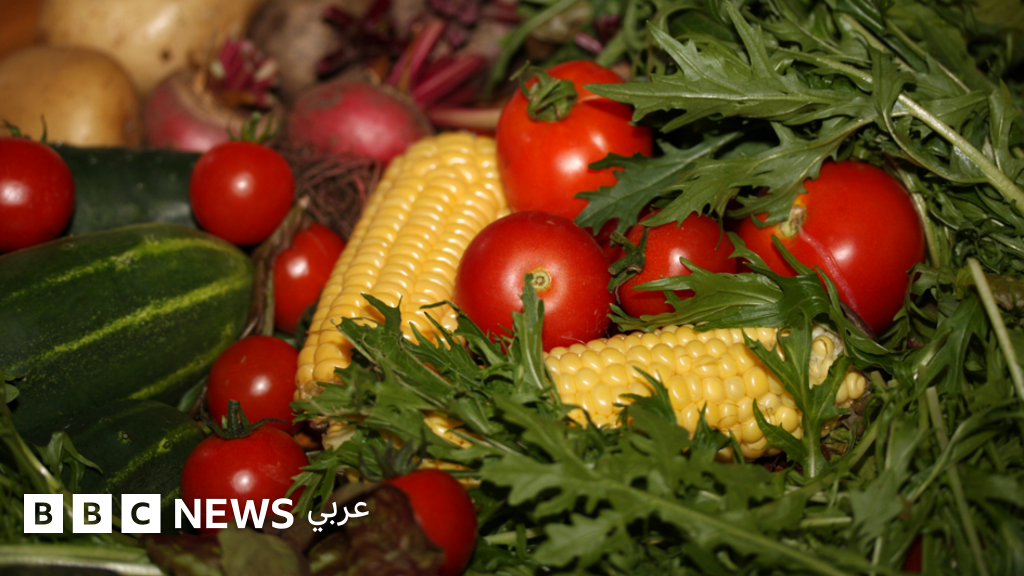 الحكومة المصرية تواجه 