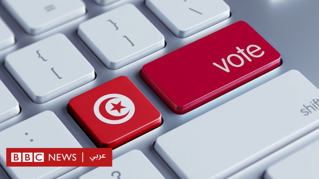 قيس سعيد: كيف يرى البعض الاستفتاء الإلكتروني الذي دعا إليه الرئيس التونسي؟