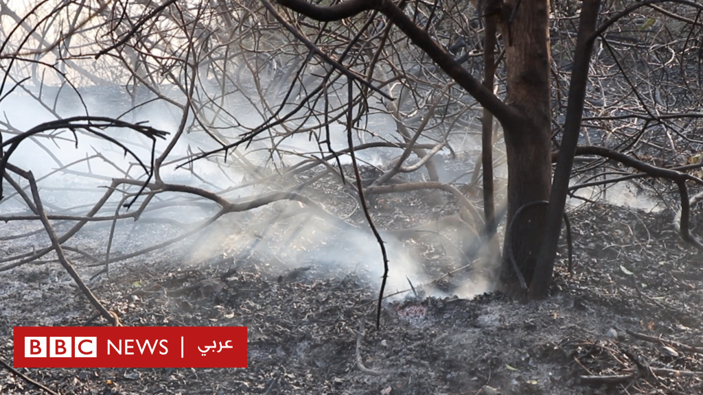 مؤتمر المناخ كوب 28: لبنان يحمل قضية 