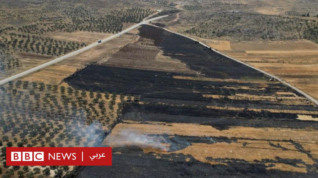 إسرائيل تعلن عن توسيع الاستيطان في الضفة الغربية المحتلة في خطوة تُعتبر ”الأوسع من نوعها” - BBC News عربي