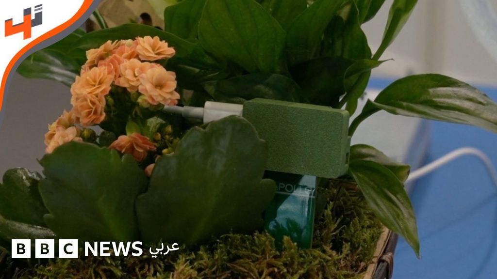 نظام ذكي يساعد على العناية بالنباتات وفهم احتياجاتها