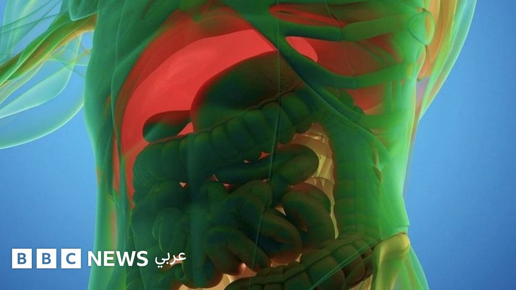 شهر رمضان: كيف يمكن أن يستفيد جسمك من الصيام؟ 